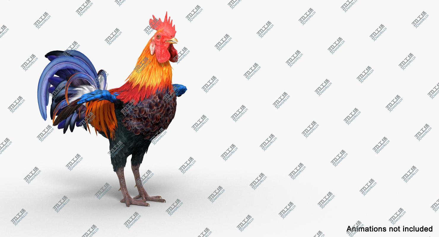 images/goods_img/202104094/Rooster Rigged for Cinema 4D/3.jpg
